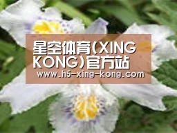 产品名称二