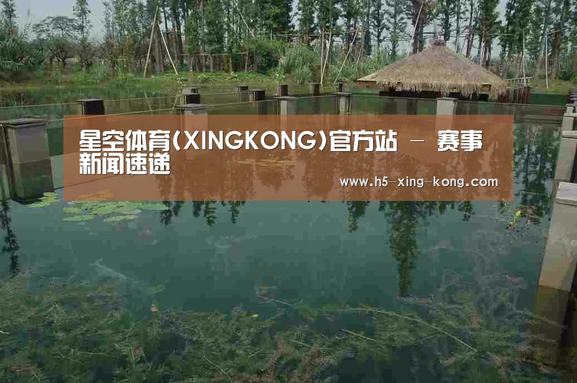 案例展示二