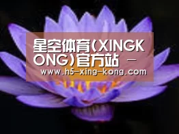 产品名称六