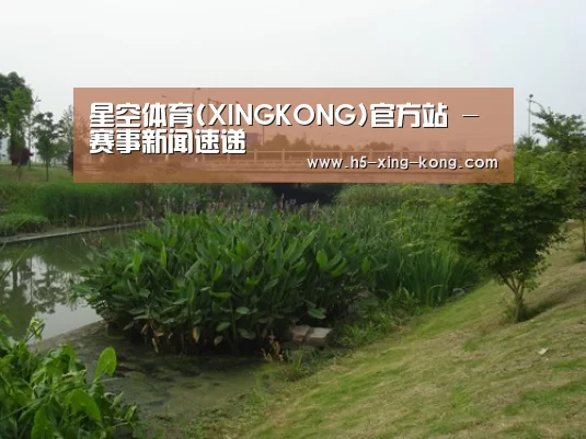 案例展示四